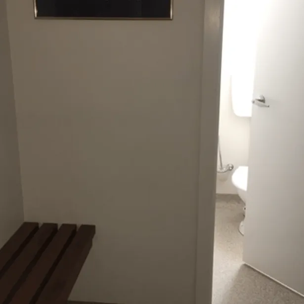 Shimmiying Flames Studio Image